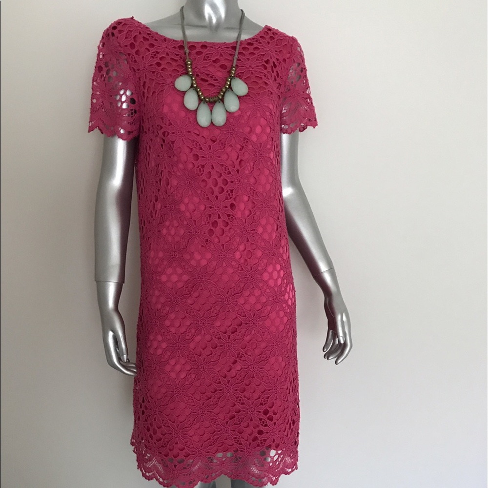 NWT Jax Pink Lace Dress